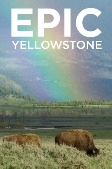 Vahşi Yolculuk Yellowstone